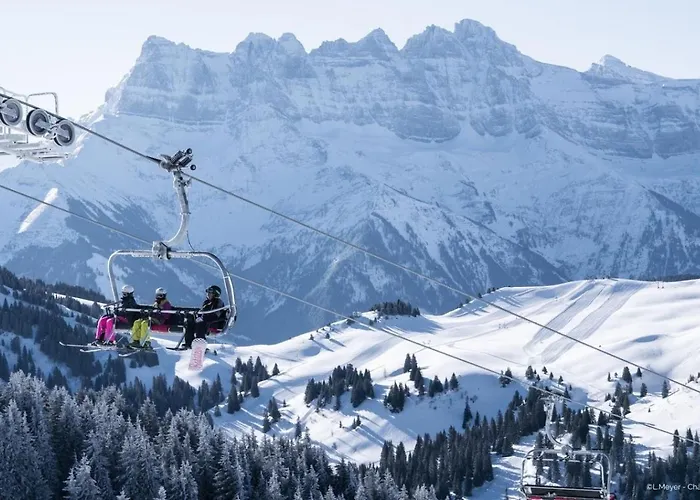Moulin Ml167 Mountain & Telecabine 6 Pers דירה Châtel
